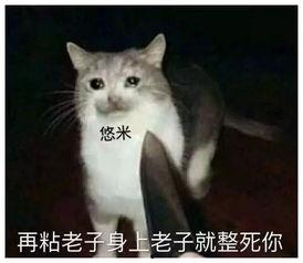 魔法猫咪设计师爆料视频,设计师爆料视频大公开 第3张 魔法猫咪设计师爆料视频,设计师爆料视频大公开 第3张